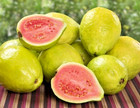 Red Diamond Guava  psidium Guajava  5 000  Seedss