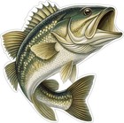 Jumping Bass Fish Professional Carpet Graphic Decal Sticker For Fishing Boats