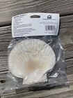 Set 4 Scallop Sea Shells Large 5 25  Beach Decor Craft Baking Serving Beautiful