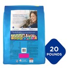 Purina Cat Chow Complete  Dry Cat Food  Chicken  20 Lb Bag