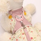 Adjustable Pet Dog Cat Harness   Leash Set Breathable Pet Vest For Small Pets