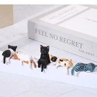 5pcs Cute Sleeping Kitten Mini Cat Figurines Creative Home Car Brand New Gift