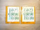 Tiger Balm Plaster Warm Medicated Pain Relief 7x10cm Small  pack Of 4  2 Packs