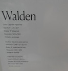 Aura Walden 15    Digital Frame Hd Display Color  Clay With Paper Mat