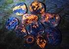 Yooperlites  Yooperstones  Fluorescent Sodalites   Lake Superior  One Pound Lot