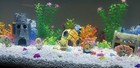 Bring Bikini Bottom To Life With Spongebob Aquarium Ornament Set     6 Pieces 