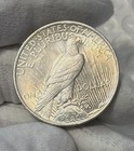 1922 P - 90  Silver Peace Dollar Brilliant Uncirculated Bu