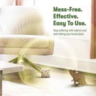 Vamoose  Rodent Pouches  Plant-powered Rat  Works Anywhere 1 Pack 4 Pouches