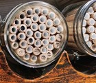 5 Nesting Tubes Blue Orchard Mason Bees 2025 Season Cocoons Proven Pollinators  