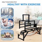 Bowwowtread New Dog Treadmill  No Electricity Required