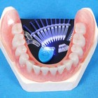 2025 Teeth Tooth Whitening Whitener Bleaching Professional Kit White Gel Light