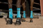 Professionals Choice Brrr 2xcool Value 4 Pack Limited Starburst M Medium Boots