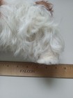 King Charles Cavalier Spaniel  real  Fur Figurine