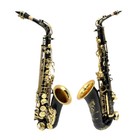 Yinfente Eb Flat Alto Saxophone Kit With 10 Reeds  8 Pads Cushions black Gold