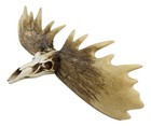 Rustic Western Moose Elk Skull With Point Hook Antlers Wall Floating Shelf 22 l