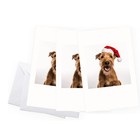 Distinctink Christmas Greeting Card - Irish Terrier