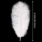 White Ostrich Feathers 24pcs Natural Bulk 8-10inch 20cm-25cm For Crafts Wedding