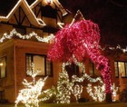 10m Fairy String Light Lamp Xmas 100m Led Christmas Wedding Party Decor Outdoor