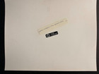 Roman Polanski - The Tenant - Rare Original Vintage Press Photo
