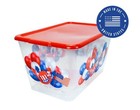 Tstorage Totes With Lids 4pc - Made In Usa 14 5-gallon Colorful Printed    New