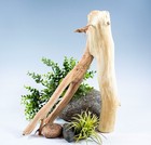 14  Manzanita Driftwood Log  Aquascape Aquarium Wood Terrarium Reptile Habitat