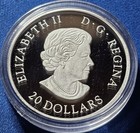 2019 Canada Beloved Maple Leaf 20 Dollars 1 Ozt 9999 Silver Coin W  Case   Coa 