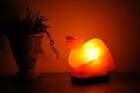 Dinosaurs Himalayan Pink Salt  Shape Lamp  Dimmer Switch  Home Decor