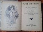 Antique Book Lot Of 2 Books Early 1900s Horatio Alger Wait And Hope Phil Fiddler