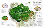     2015-11 Amazonia The Human Impact  Amazon Wildlife National Geographic Map A3