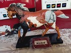 Trail Of Painted Ponies Year Of The Horse 1e 7709 New In The Box