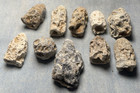 Lot Of 10 Dug Civil War Chewed  Bullets From Port Hudson