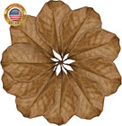 Leaf Litter For Snakes  10 Pcs Medium Indian Almond Catappa Leaves Substrate Mai