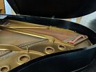 Steinway Model A Grand Piano Ebony Satin Finish