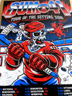 Authentic Sum 41 Final Tour 2025 Canada Poster Vancouver Toronto Edmonton Rare 