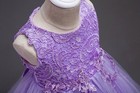 Kid Flower Girls Lace Party Dress Bridesmaid Princess Tulle Tutu Gown Dresses