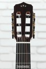Cordoba Stage Nylon-string Acoustic-electric Guitar - Natural Ziricote 