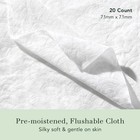 Rael Ph Balanced Flushable Feminine Wipes  Daily Use  Clean Ingredients  2 Pack 