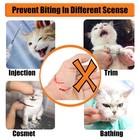 Cat Muzzle Breathable Prevent Fights Prevent Bites Safe Transparent Pvc Cat Face