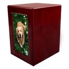 4 3 4 1in Red Wooden Funeral Cremation Urn With Photo Frame For Dogs And Cats