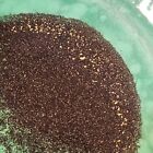 7lb  Super Rich   Mother Lode Ca Gold Paydirt   Gold Guaranteed          