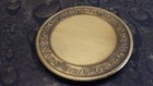 Grizzly Bear Antique Bronze Coin Card Guard