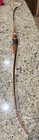Fred Bear Alaskan Halloween Recurve 1959 Or 1960 25 Pound 62 Inch