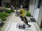 Vintage 1940s Primitive Country Wooden Folk Art Iowa Football Player Whirly Gig
