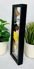 Real Butterflies  5 Amazon Butterflies In A Double Glass In Black Frame 