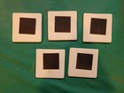 Set Of 5 Fridge refrigerator Magnets Of Cats  Kitten Vintage Pet Animal Lover