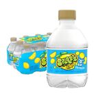 Splash Refresher Lemon Flavored Water  8 Fl Oz  Plastic Bottle Pack Of 12