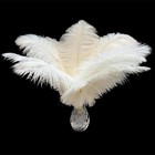 20pcs White Ostrich Feathers 10-12 Inch 25-30cm Bulk Feathers For Home Decora   