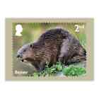 Gb 2023 River Wildlife Phq Postcards Set Of 10  Mint Condition - Sealed Pack
