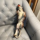 Vintage Leather Wrapped Paper Mache Tiger Glass Eyes Whiskers Teeth 14 5 X 8 5