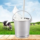 Stainless Steel Bucket With Lid - 8l Capacity  Durable   Versatile